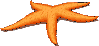 materials-starfish.gif